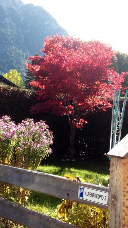 Apartament Alpenfreund Mittenwald