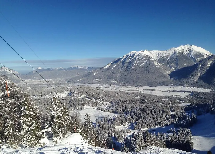 Alpenfreund