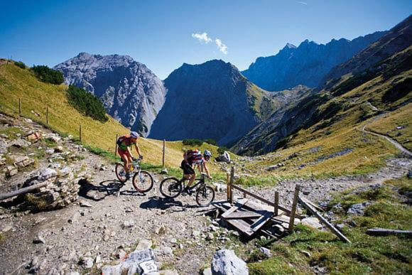Alpenfreund