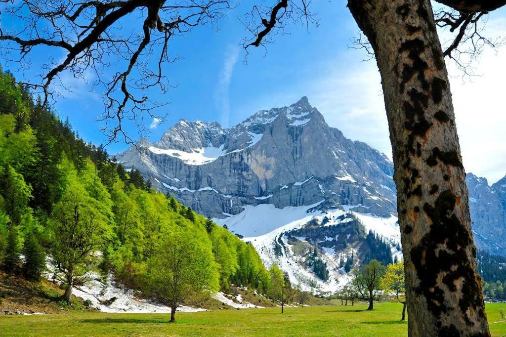 Apartment Alpenfreund