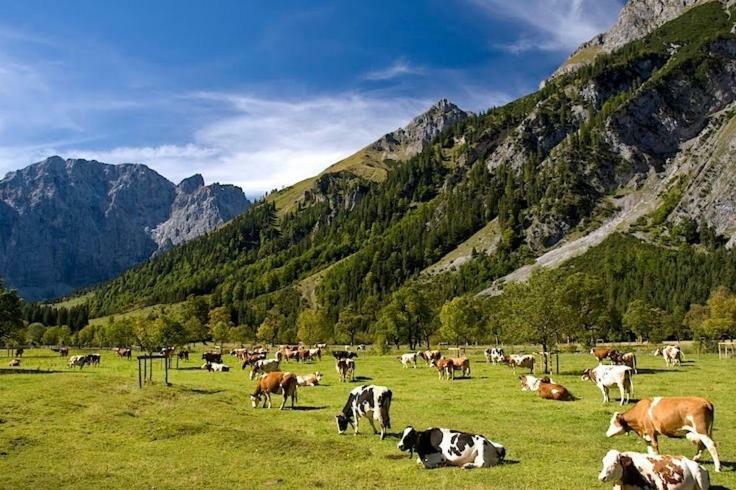 Alpenfreund Apartment Mittenwald
