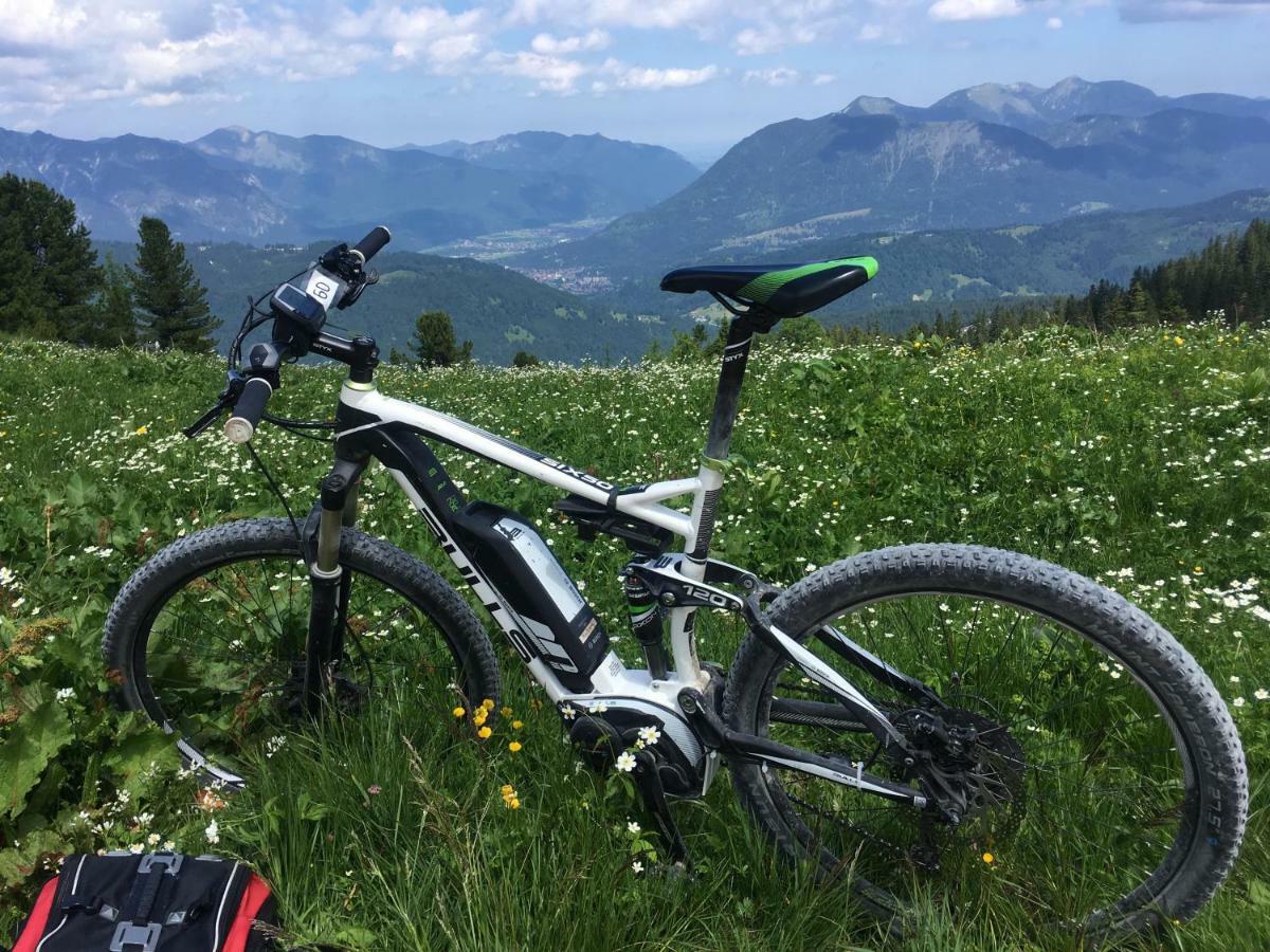 Alpenfreund * Mittenwald